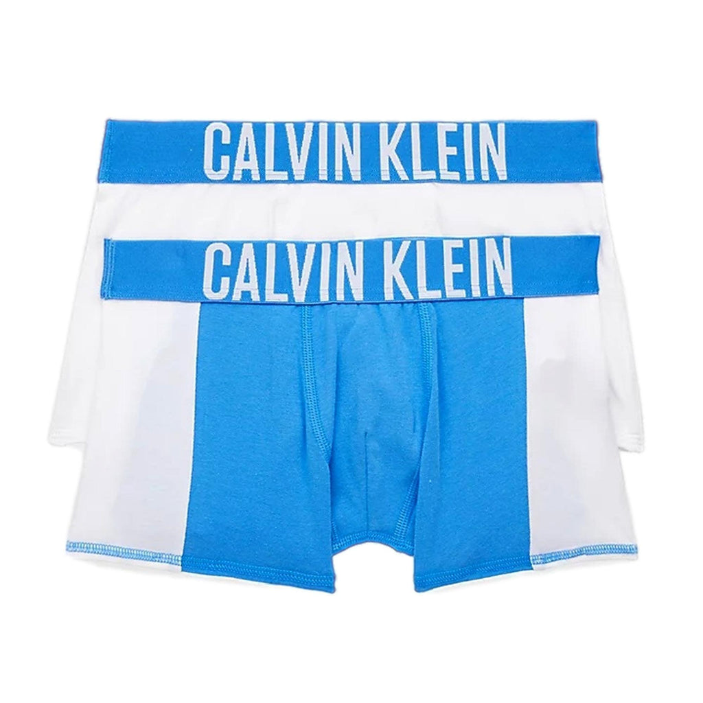 Calvin Klein Boys 2 Pack Intense Power Trunk - Electriqua/White - Utility Bear