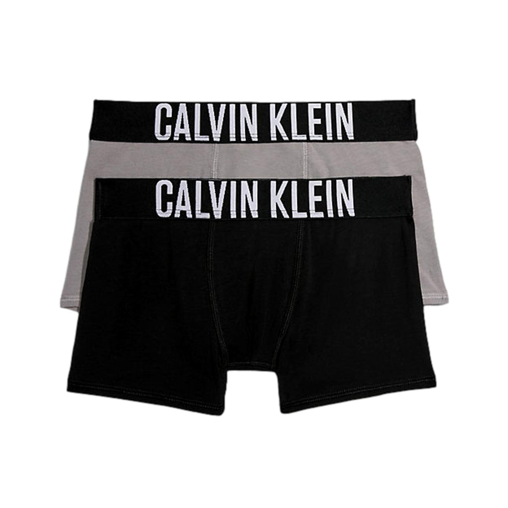 Calvin Klein Boys 2 Pack Intense Power Trunks - PebbleStone/Black - Utility Bear
