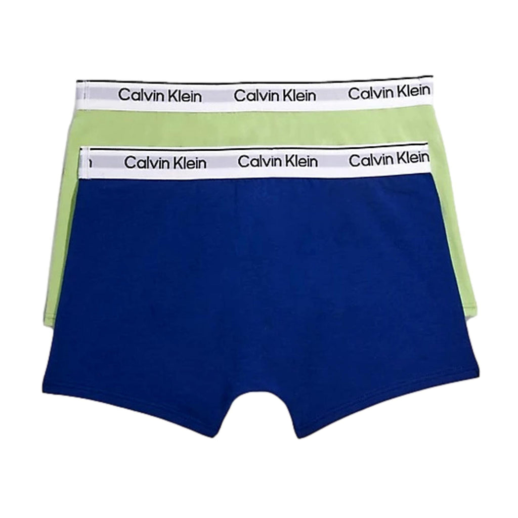 Calvin Klein Boys 2 Pack Modern Cotton Trunk - SpringFern/BoldBlue - Utility Bear