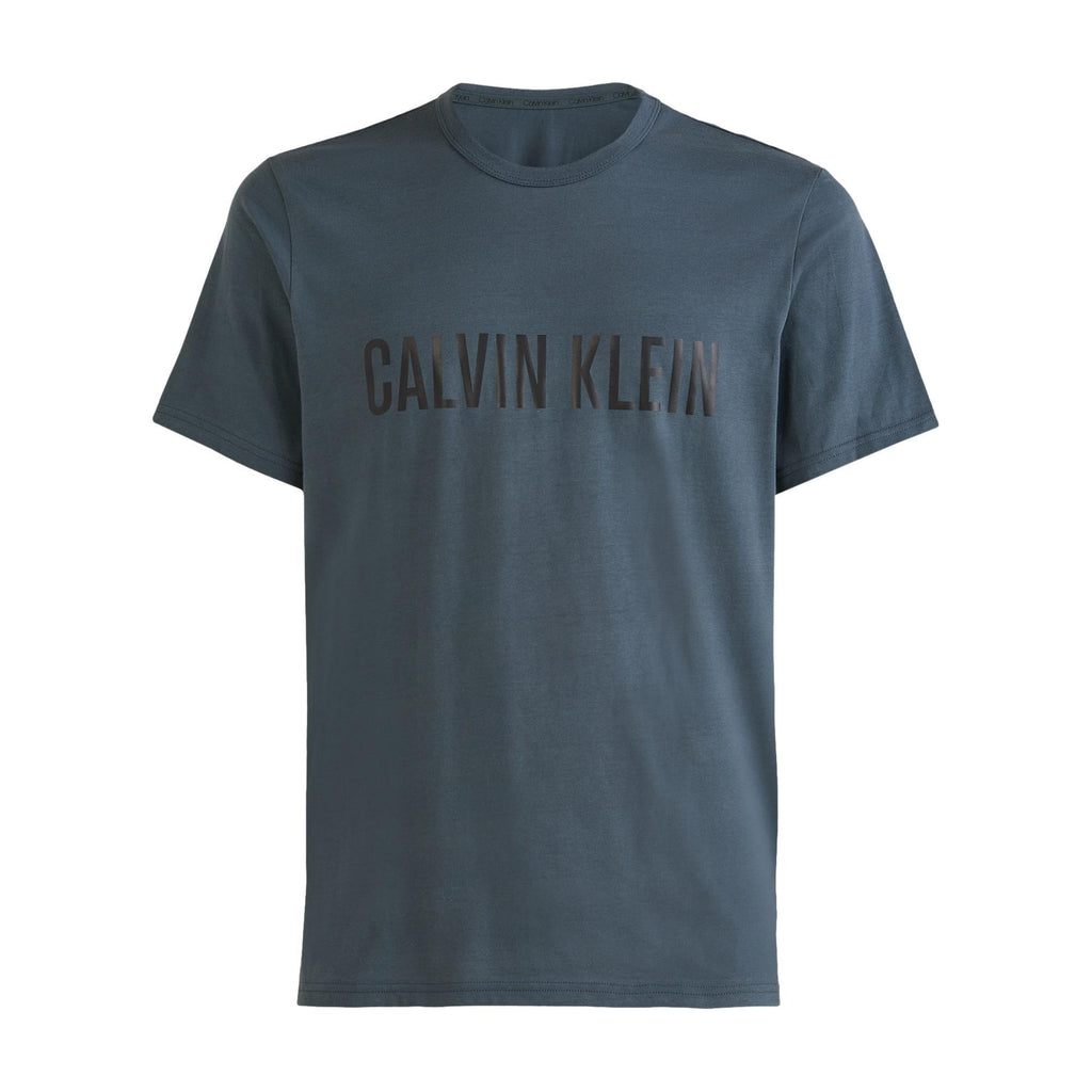 Calvin Klein Intense Power Lounge T-Shirt - Hemisphere Blue - Utility Bear