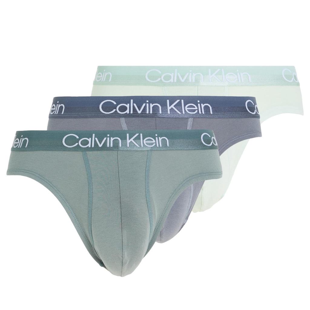 Calvin Klein Modern Structure Briefs 3 Pack - Beloved BL/Asphalt Gry/Dragon Fly - Utility Bear