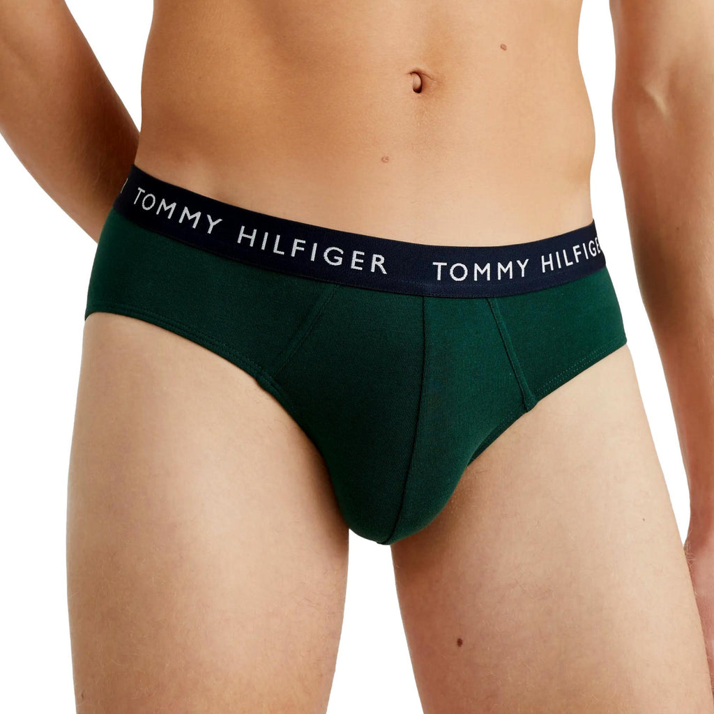 Tommy Hilfiger 3 Pack Stretch Recycled Cotton Briefs - Des Sky/Hunter/Deep Burg - Utility Bear